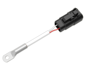 Thermometer Version (installed)